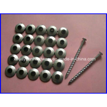 Best Selling Screw Roofing Nail with Neoprene Washer